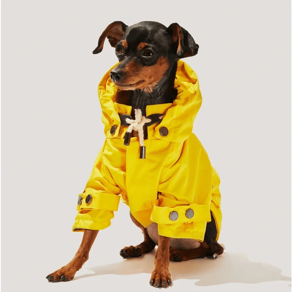 Max & Bone Talon Raincoat Yellow Dog coat